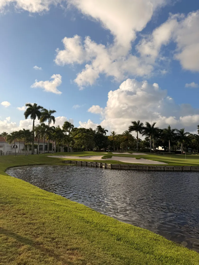 A golf green guarded by white sand bunkers and a pond, lined with royal palms under a blue sky with white clouds