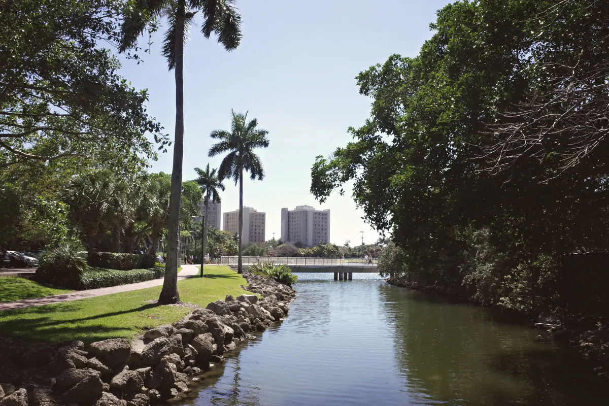 A palm-lined waterway on the University of Miami campus in Coral Gables, with a footbridge and residence towers in the distance